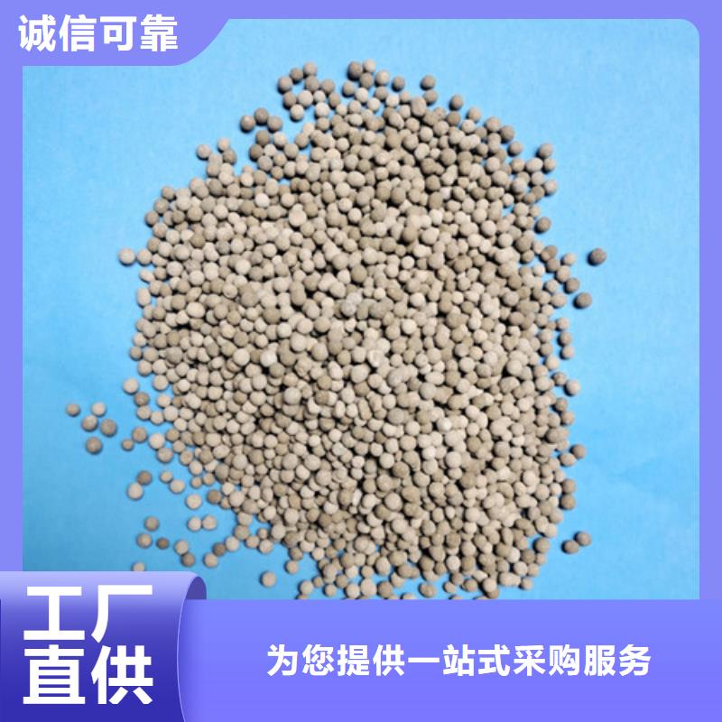生物陶粒滤料微生物挂膜快