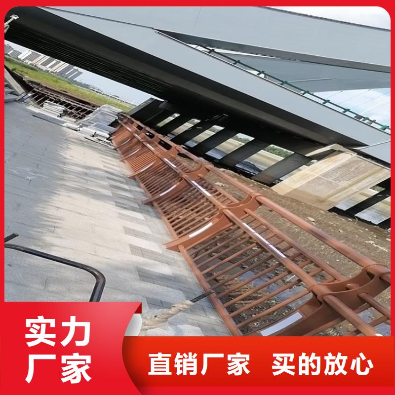 地铁站防撞栏杆氟碳漆喷塑展鸿实体厂家供应