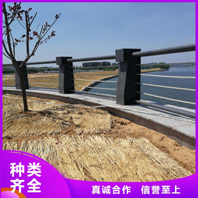 201复合管校园防护栏展鸿护栏专业定做
