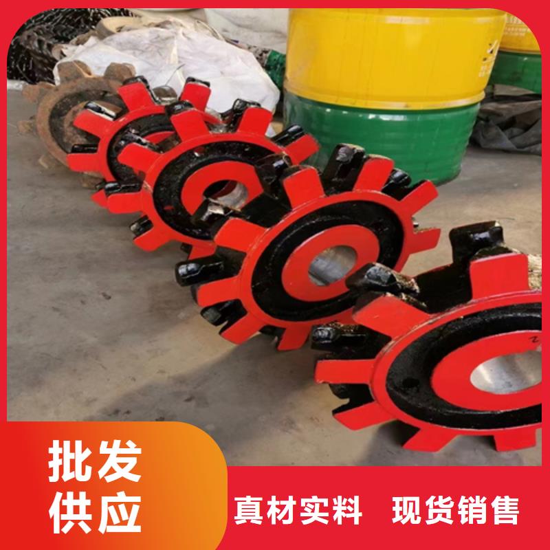 四爪链条炉排生产厂家