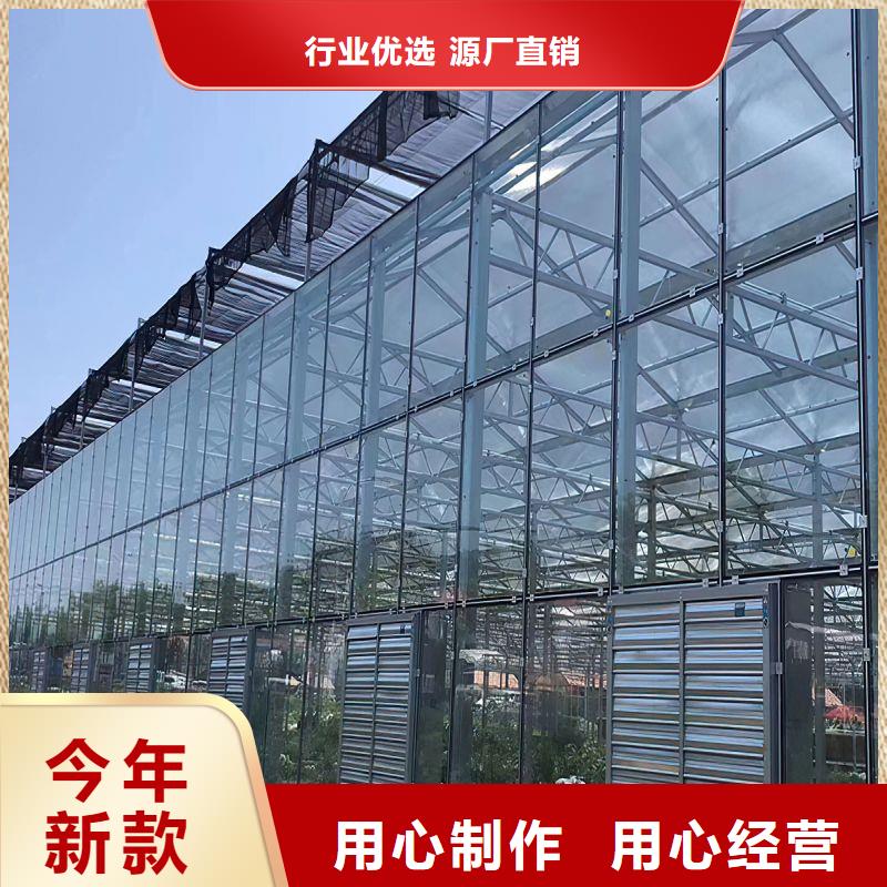 高阳县圆顶温室正规厂家