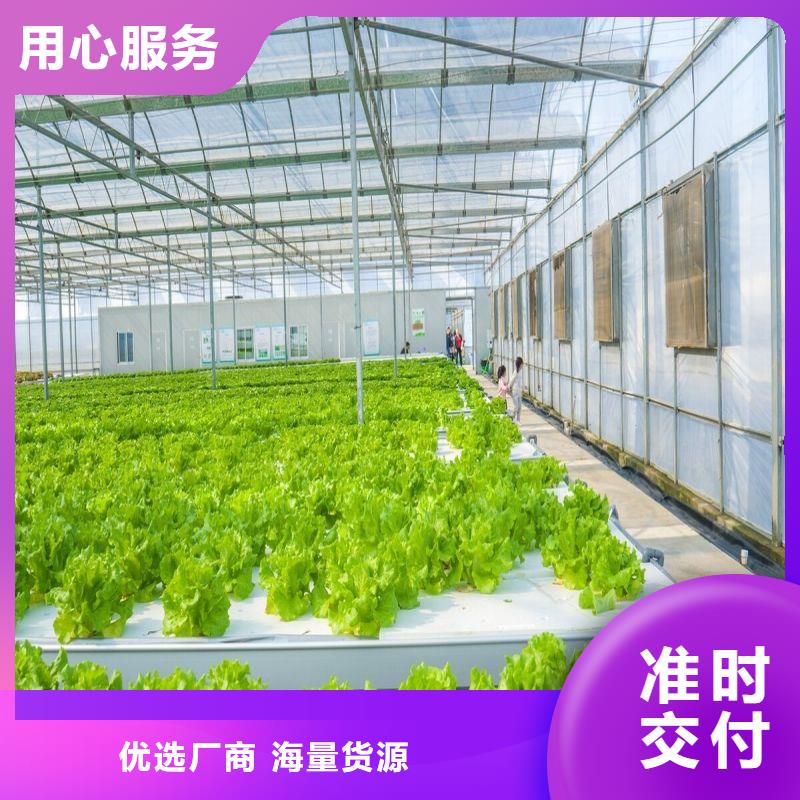 容桂街道连体大棚购买