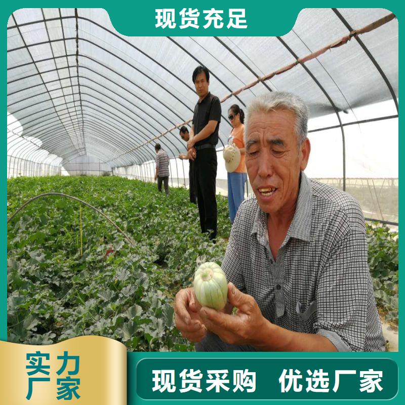 漳浦种植大棚施工团队