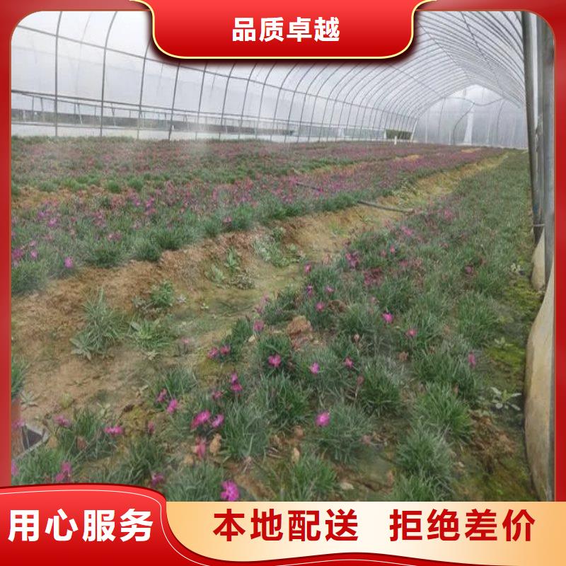 大棚管2温室大棚管为您提供一站式采购服务