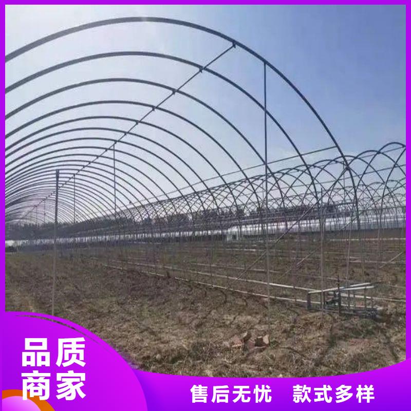 龙文种植大棚学校