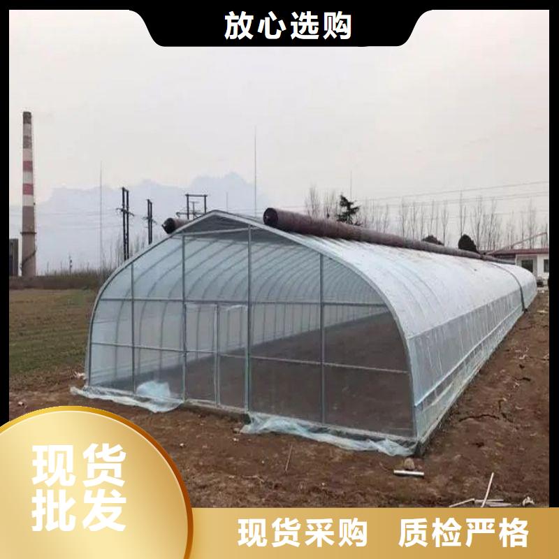 容桂街道连体大棚购买