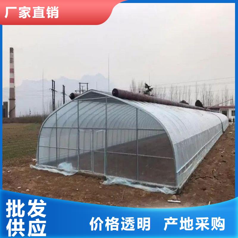 易县蔬菜大棚镀锌管使用寿命长等优点。