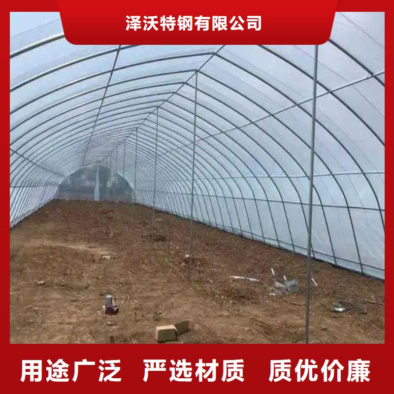 绩溪温室大棚采购价格