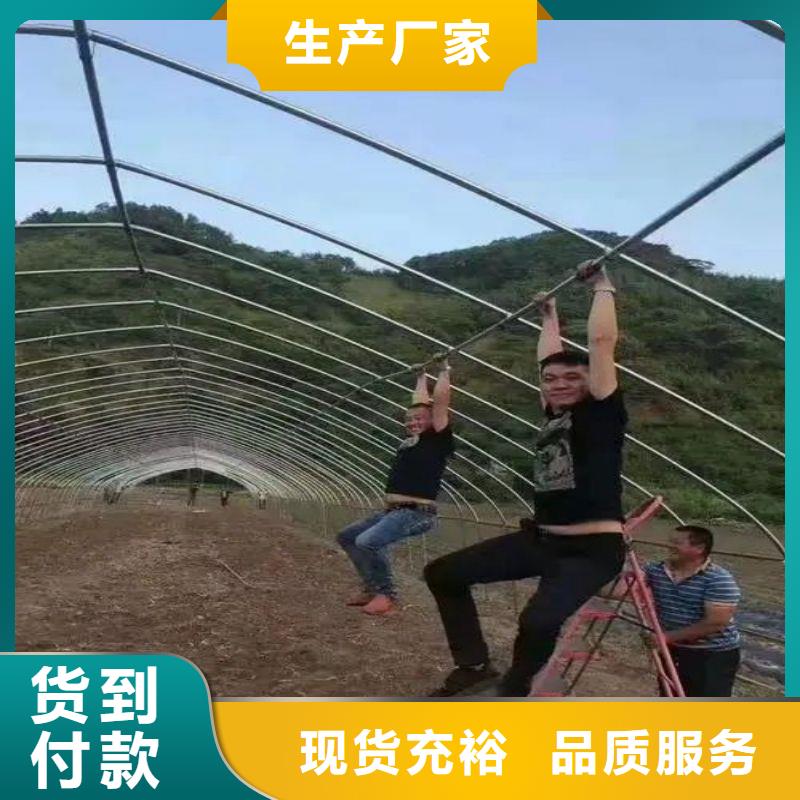 华强北街道塑料薄膜大棚正规厂家