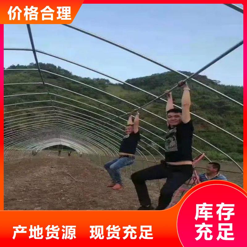 大宁县圆拱型骨架钢管怎么卖