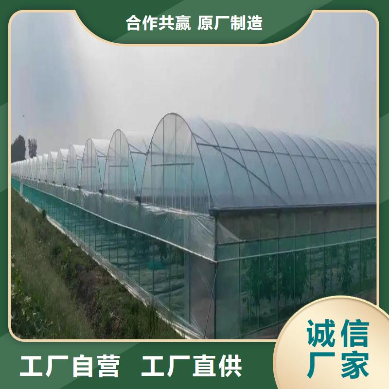松潘连栋大棚种植近期行情2025