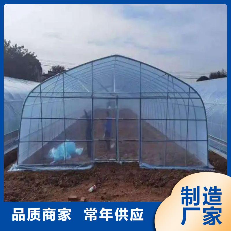 【大棚管2椭圆管温室大棚厂家直销直供】