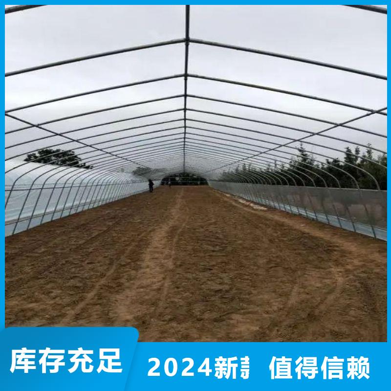 博爱县西瓜大棚骨架