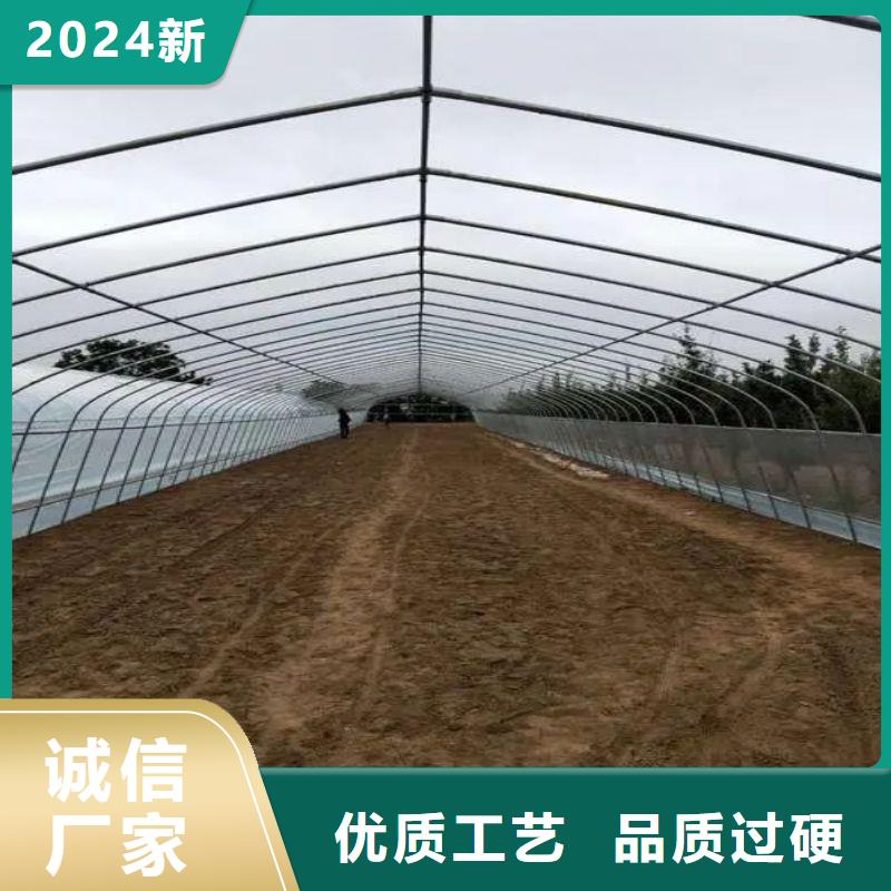 遂溪县蔬菜大棚怎么买