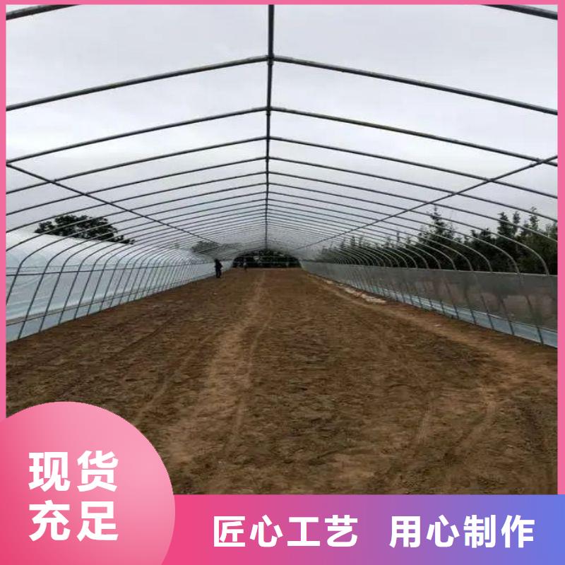 南湖区单体温室联系电话