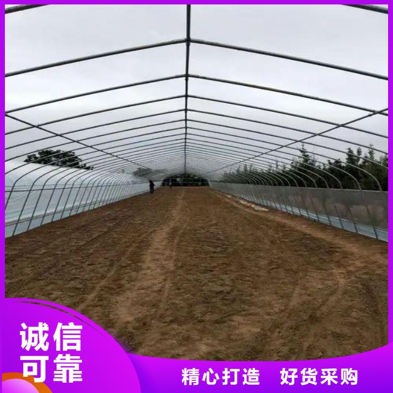 定兴县镀锌管大棚厂行情走势、