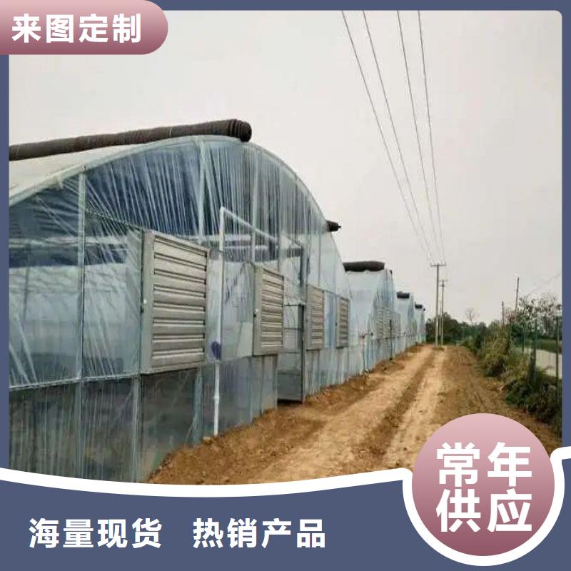 竞秀区农业镀锌管大棚安装