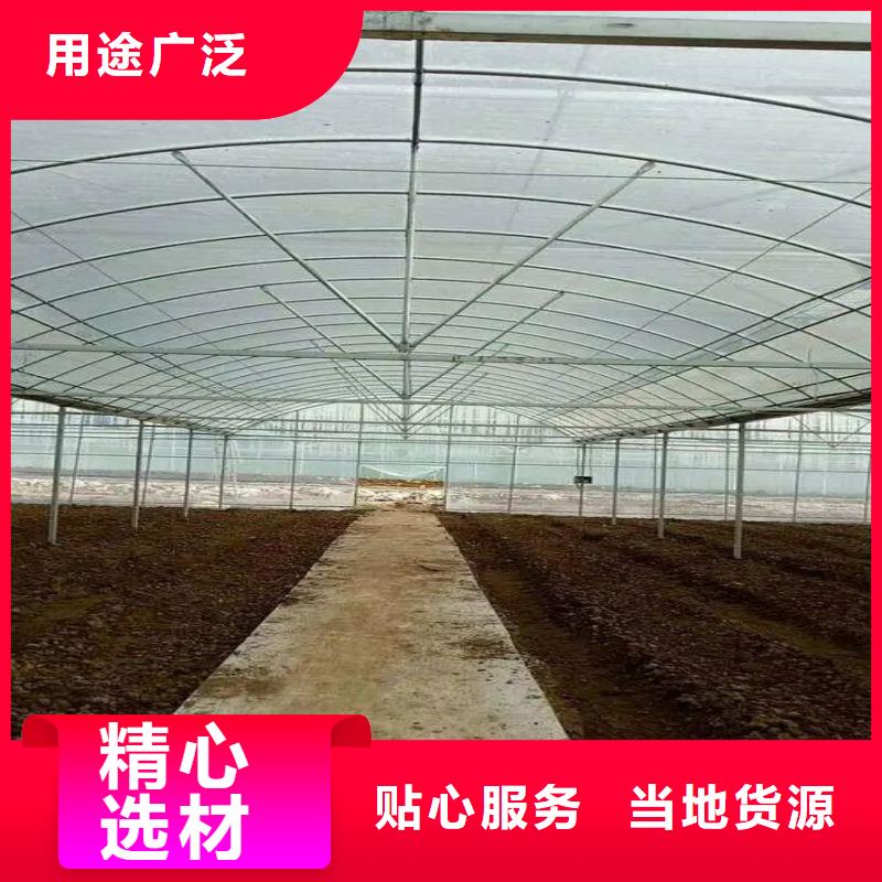 高要区苗床可定制