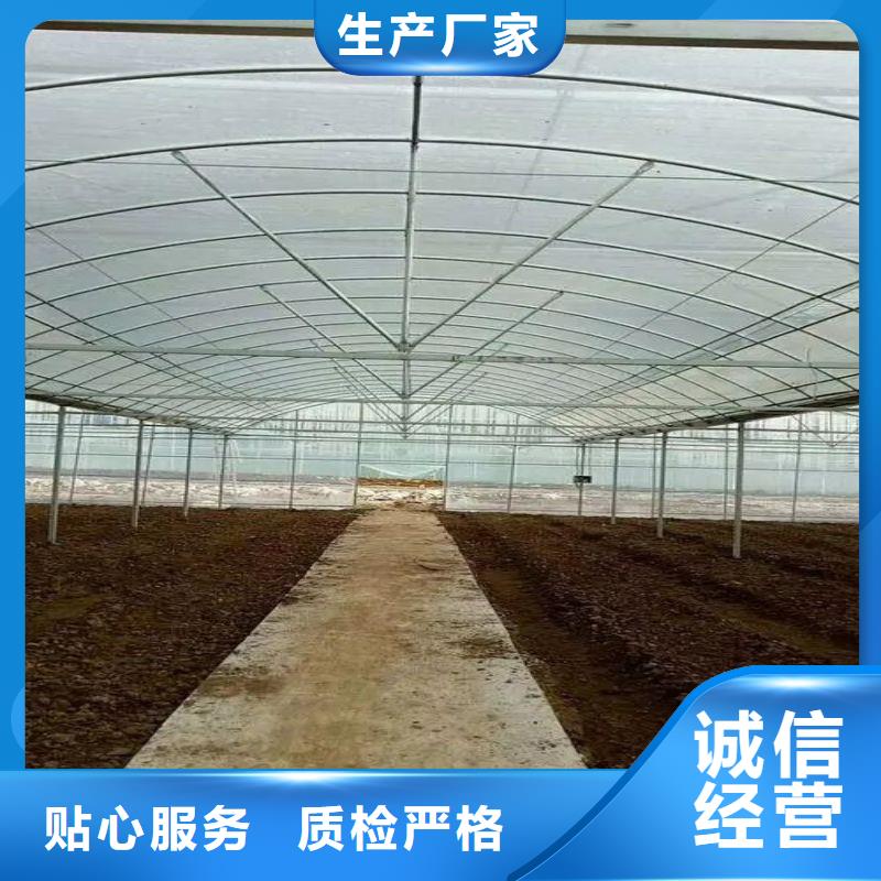 攸县大棚骨架怎么