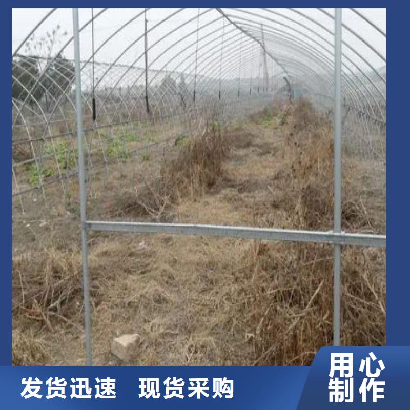 定兴县镀锌管大棚厂行情走势、