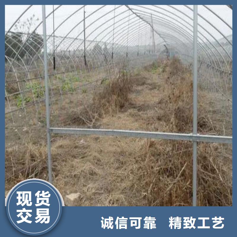 南岳区瓜果大棚管联系电话