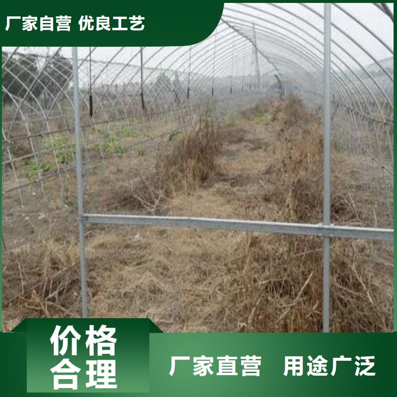 岗巴县西瓜大棚骨架机