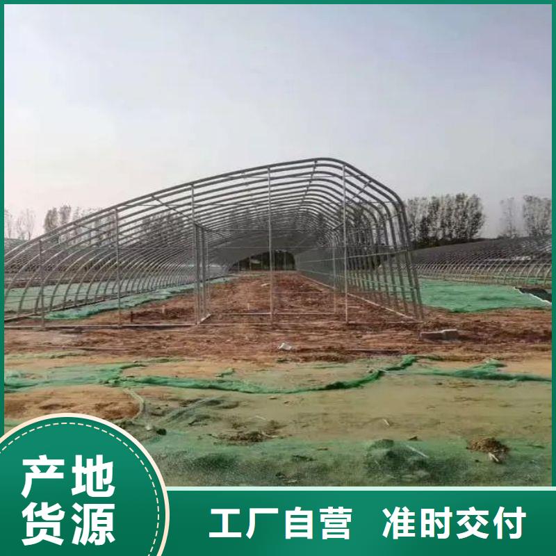 涿州黄瓜6米宽各型号大棚钢管免费培训安装