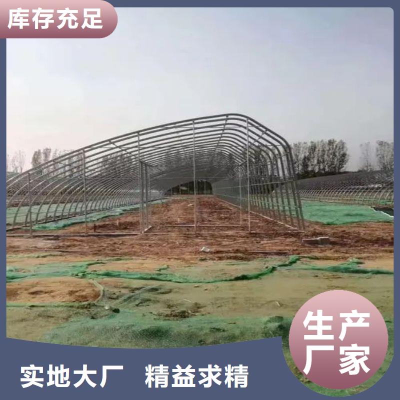 简易骨架钢管