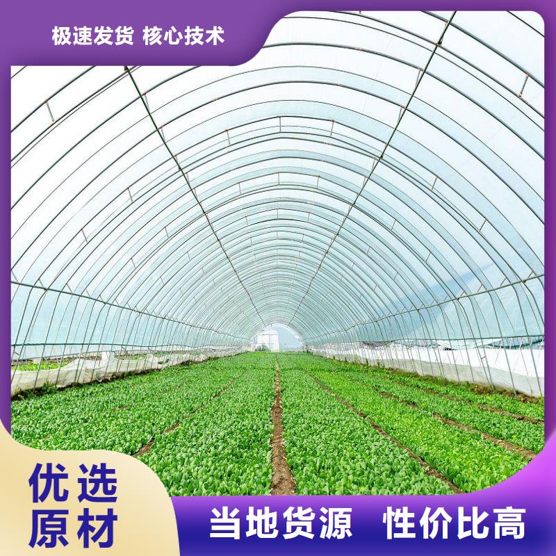 攸县大棚骨架怎么