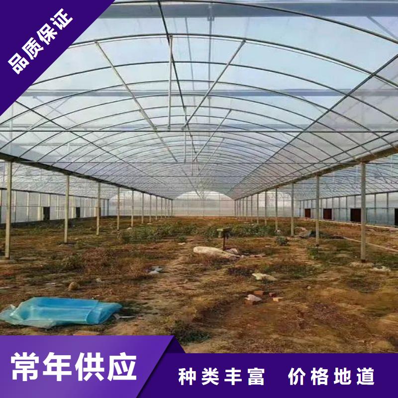 南湖区单体温室联系电话