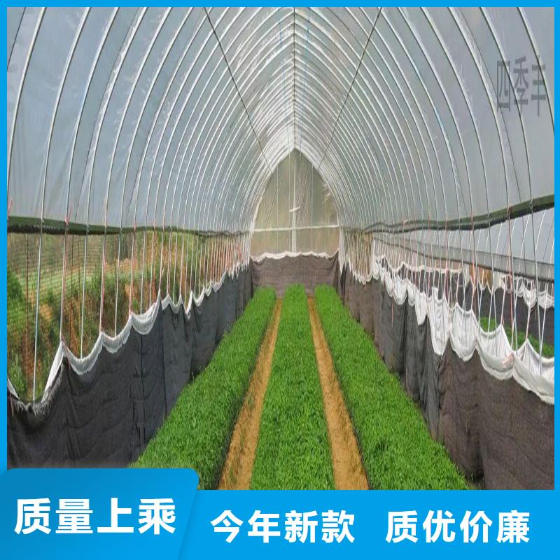 双流连栋大棚图片批发价格2025