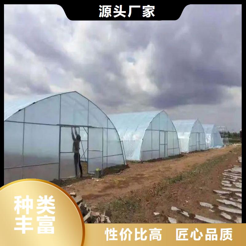 满城连栋塑料薄膜大棚钢管|客户至上
