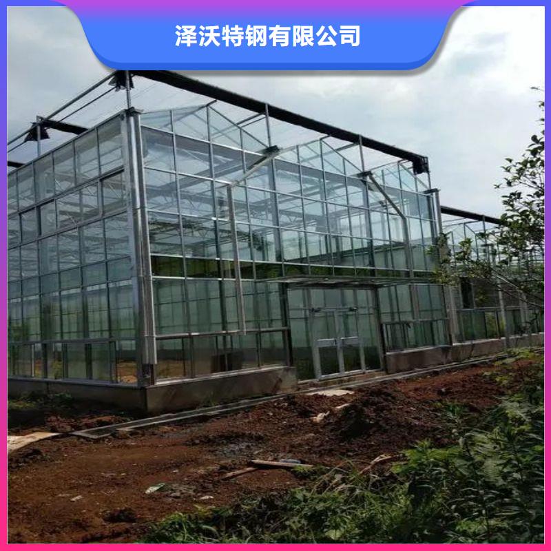 石狮市苗床种植基地