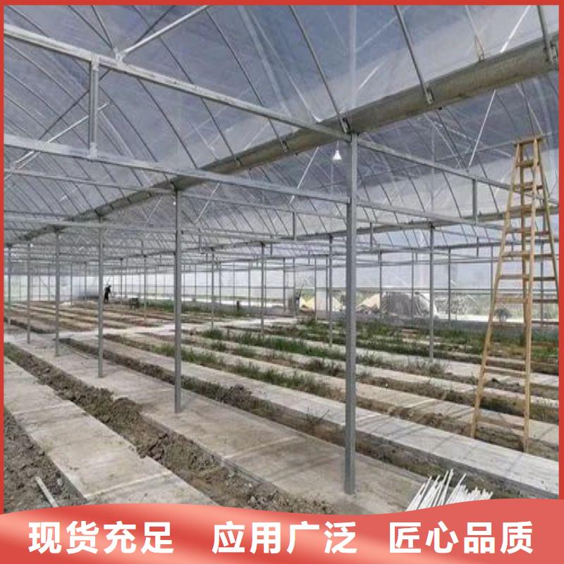 曲阳连栋大棚造价多少一亩近期行情2025