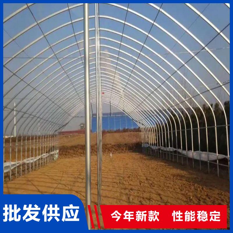 邵武连栋大棚厂家2025