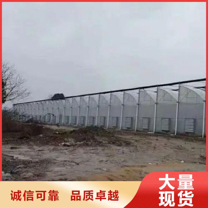 徐水镀锌多肉食用菌大棚钢管抗雪抗风效果好
