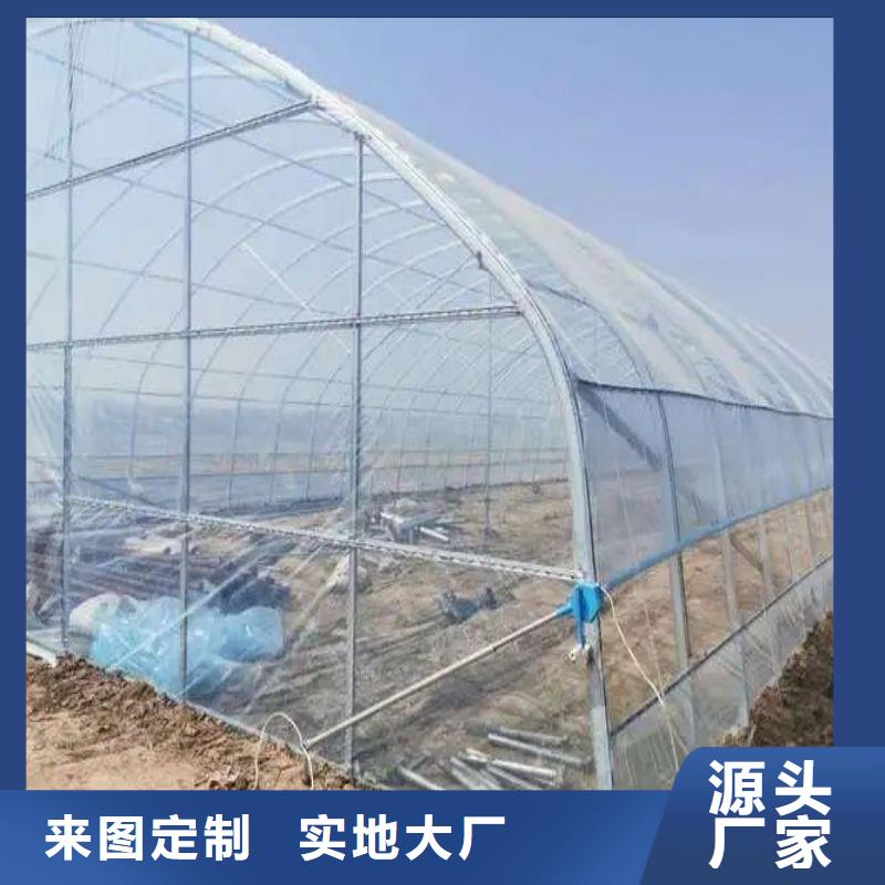 涿州黄瓜6米宽各型号大棚钢管免费培训安装