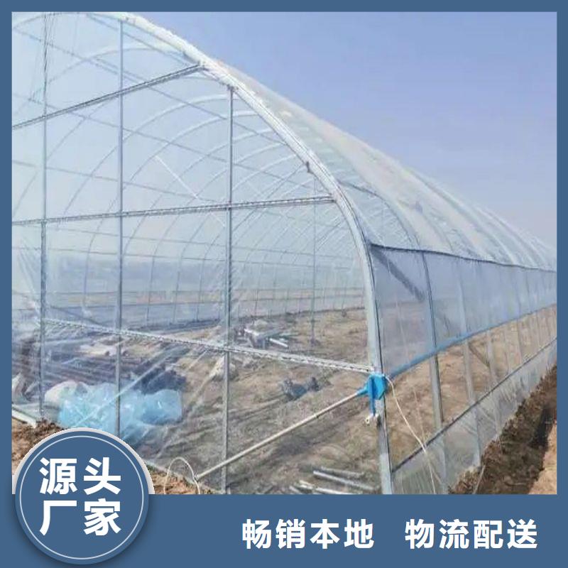 定兴连栋大棚结构图价格2025