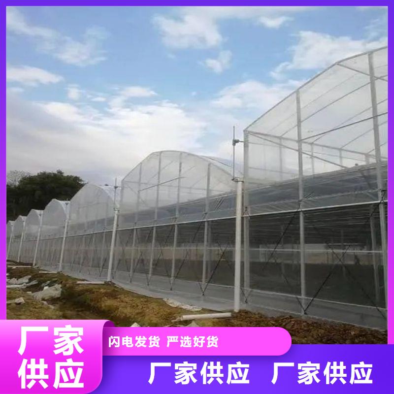 沁阳市热浸锌定尺大棚管