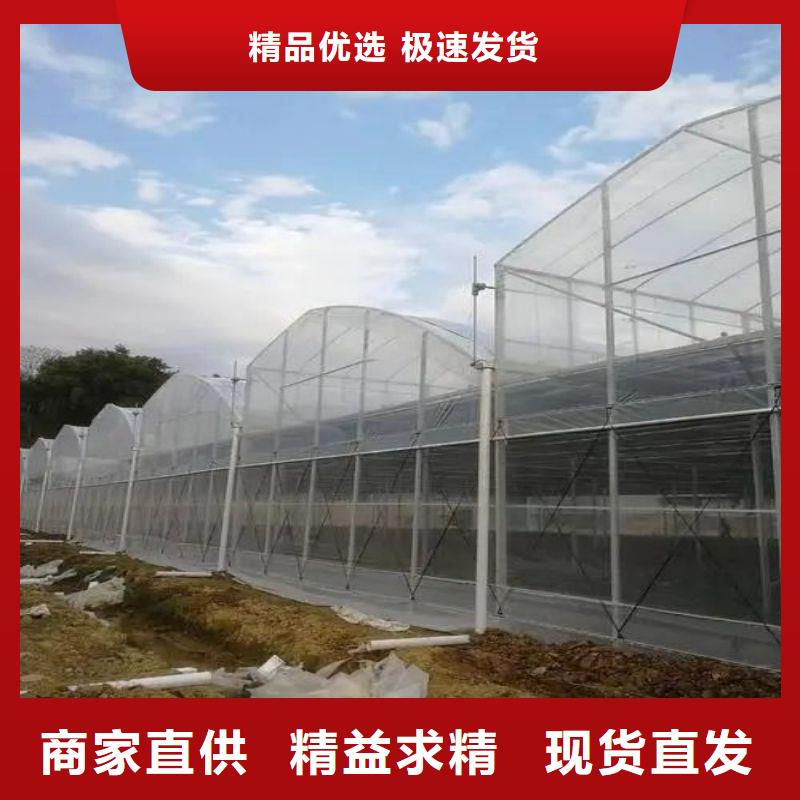 曲阳扁钢管买就送