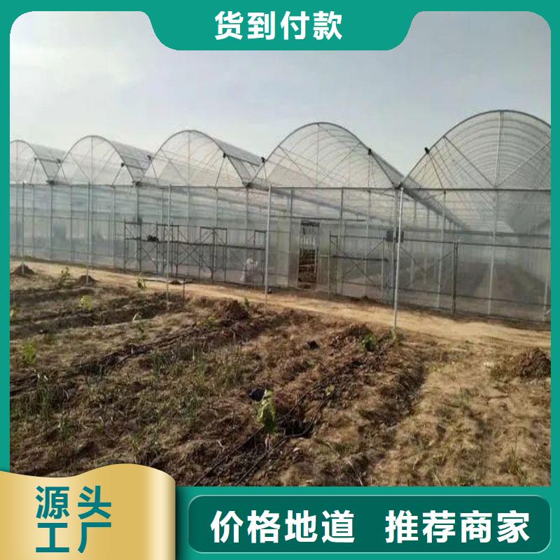 粤海街道4分6分1寸大棚厂家直供