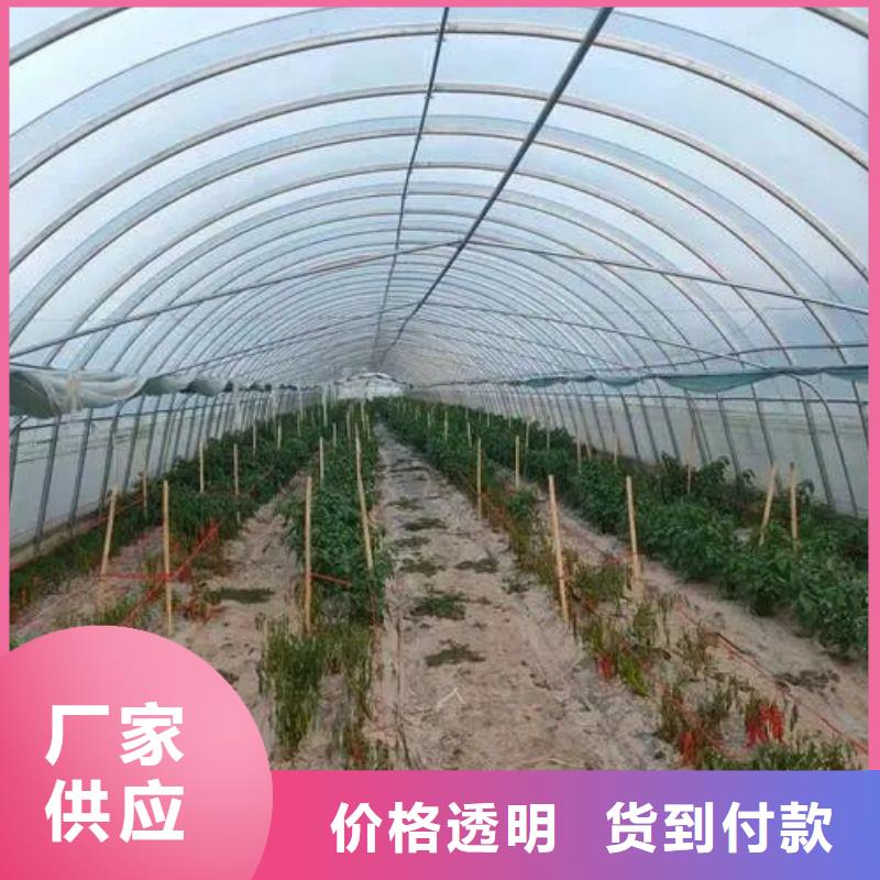 庐江县育苗用大棚管生产厂家