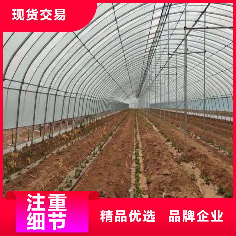 沂水县菌菇大棚管价格
