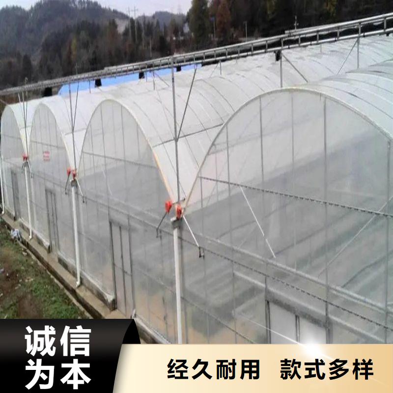 咸丰县高品质大棚管厂家