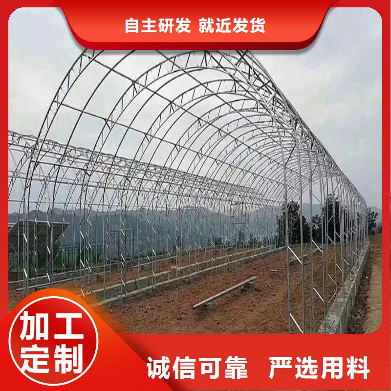 容桂街道连体大棚购买