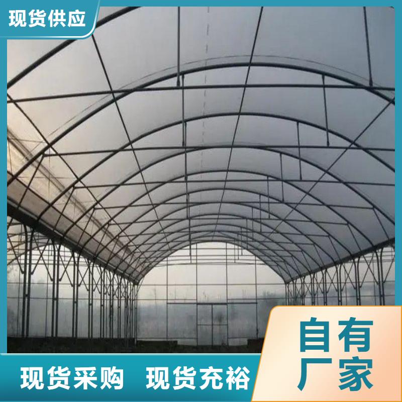 定兴县镀锌管大棚厂行情走势、