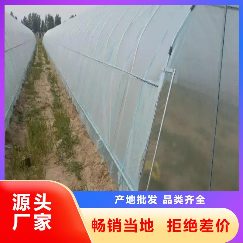 大棚管2_连栋大棚管实力才是硬道理