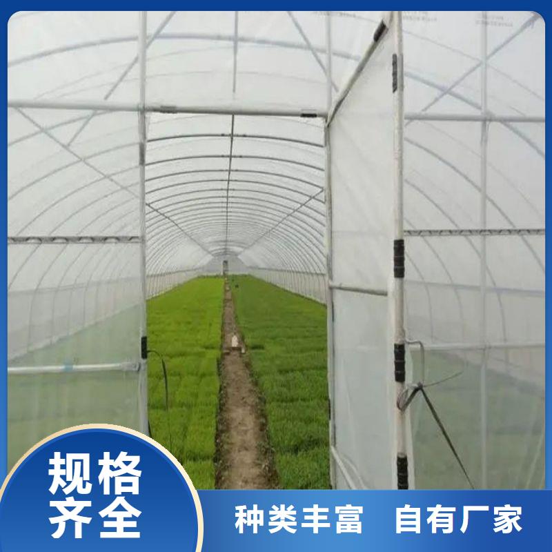 容城县连栋大棚钢管
