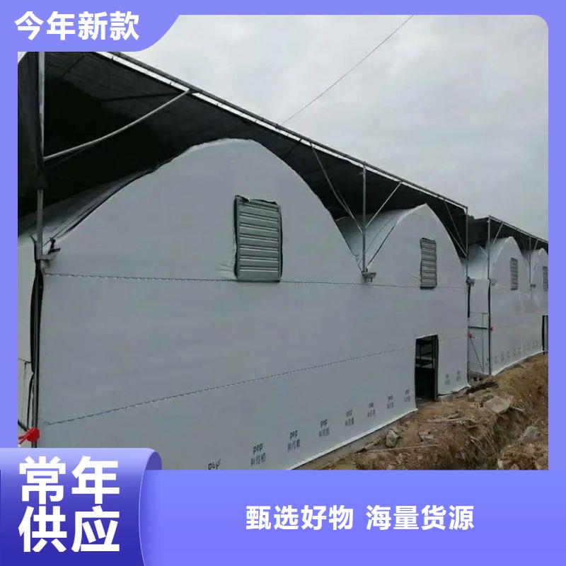 容城县连栋大棚钢管