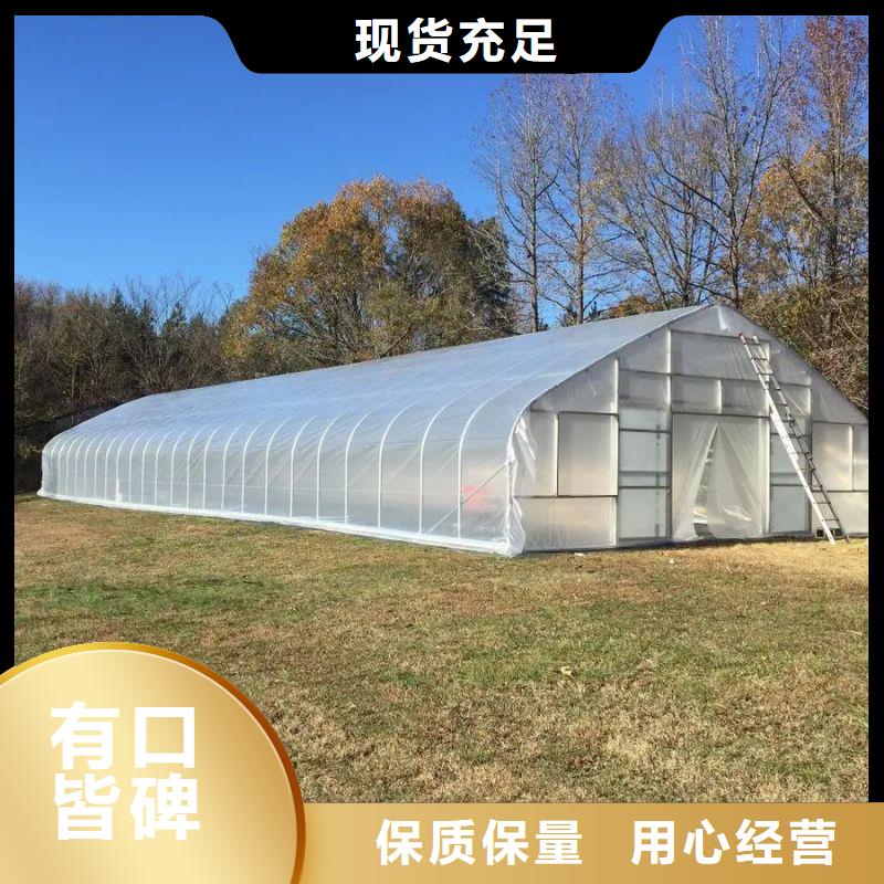 抚宁连栋大棚结构图询问报价2025